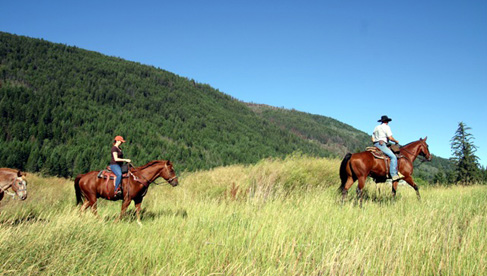 Tod Mountain Ranch