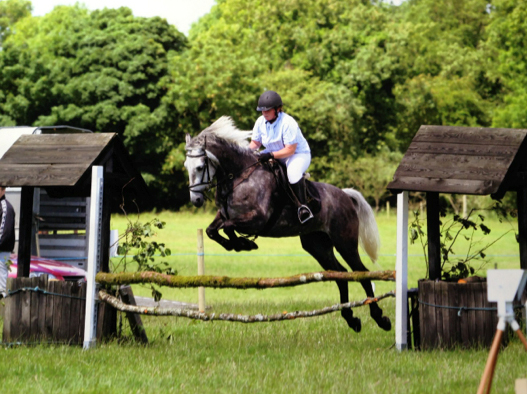 Cathriona Goaley equestrian ireland