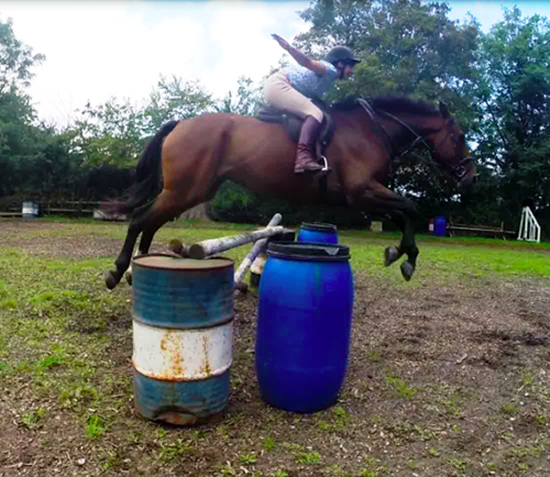 equestrian jumping