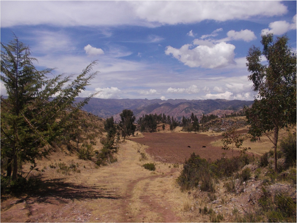 scenic view of equestrian trails in cusco peru 