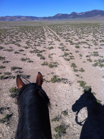 equestrian trails nevada