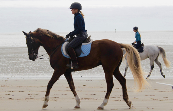 riding horses on the beach south carolina 