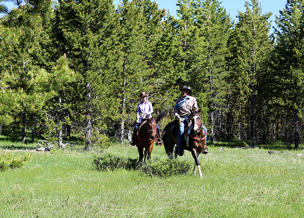 Equitrekking Medicine Bow Lodge National Forest Wyoming