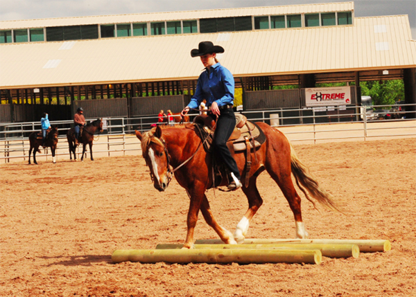 extreme mustang makeover favorite text