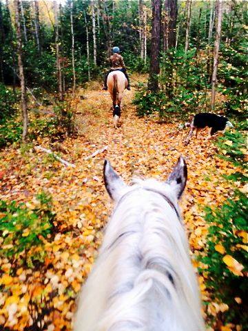 fall colors western pleasure guest ranch idaho