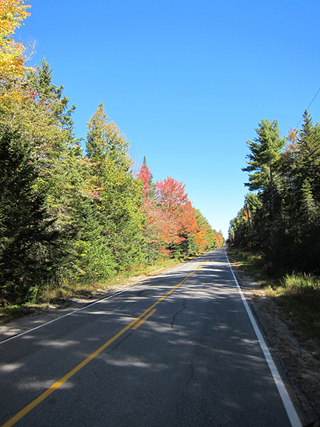 fall foliage maine