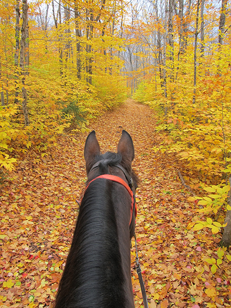 fall trail ride in northern maine