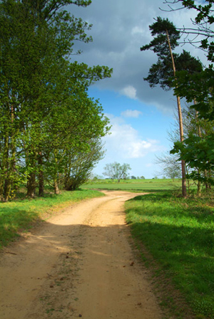 farm tracks