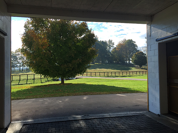 farm views claiborne farms kentucky