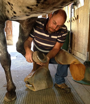 farrier