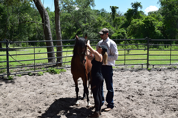 Rafter P horsemanship retreats Florida