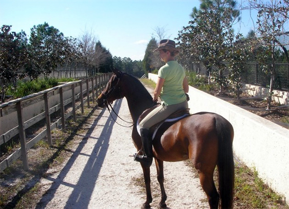 florida horse riding