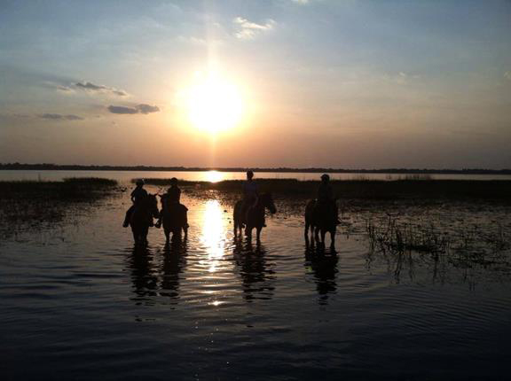 florida sunset horseback