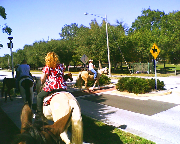 Pinellas Park florida horse riding community