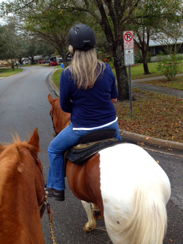 florida equestrian vacation st petersburg