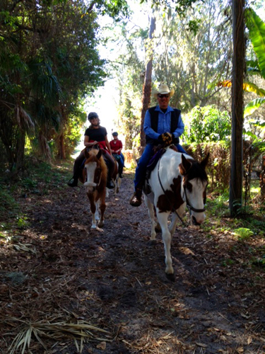 florida horse riding vacation pinellas park