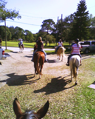 Florida horse riding equestrian community