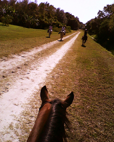 florida horseback riding trails