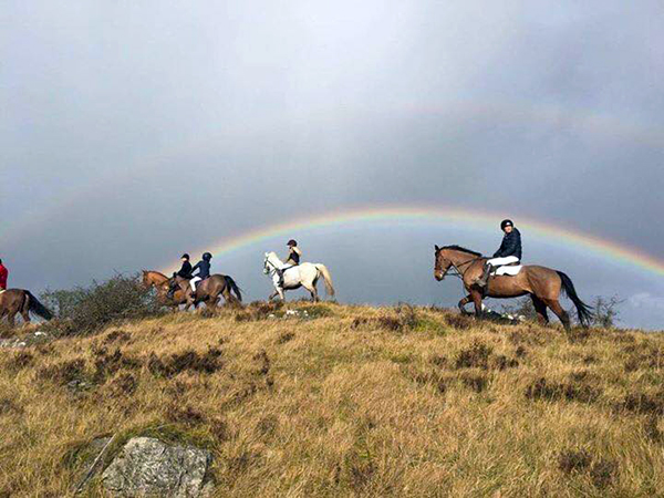 Flowerhill Ireland riding vacations