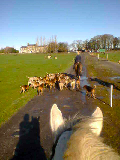 Flowerhill Ireland riding vacations