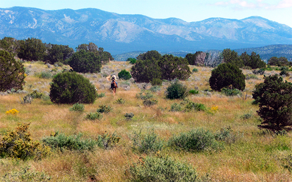 fort stanton trail riding nm