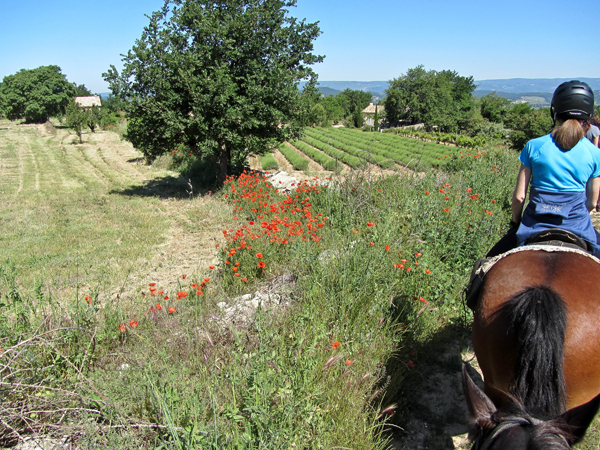 France riding in Provence