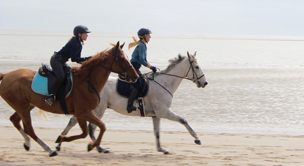 cantering on the beach daufuskie island south carolina 