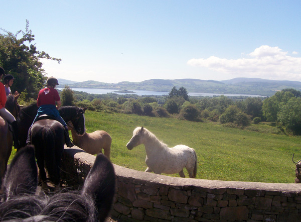 Galway riding vacation