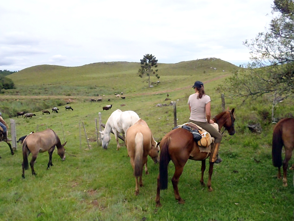 gaucho do brasil riding vacations