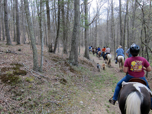 Horseback riding Virginia George Washington National Forest