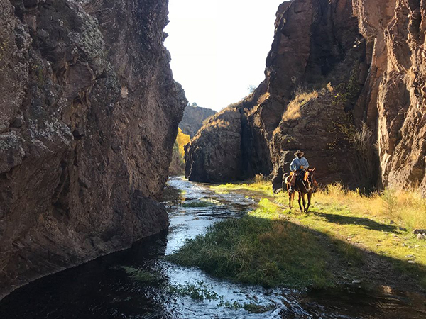 Geronimo Guest Ranch New Mexico horseback riding