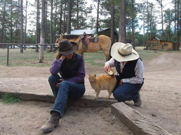 Geronimo Trail guest Ranch cat