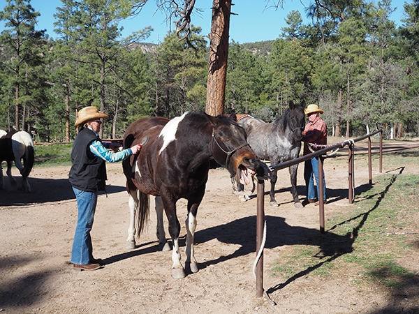 Geronimo Trail Guest Ranch guests