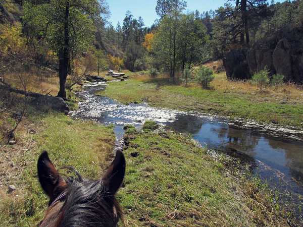 geronimo trail guest ranch