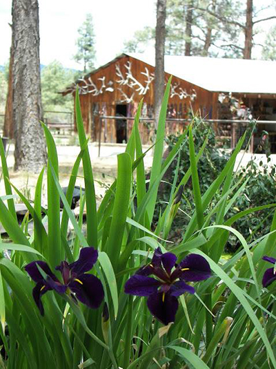 Geronimo Trail Guest Ranch