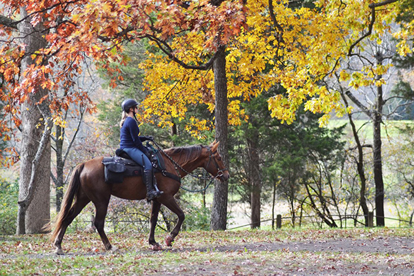 Gettysburg Pennsylvania horseback riding tours