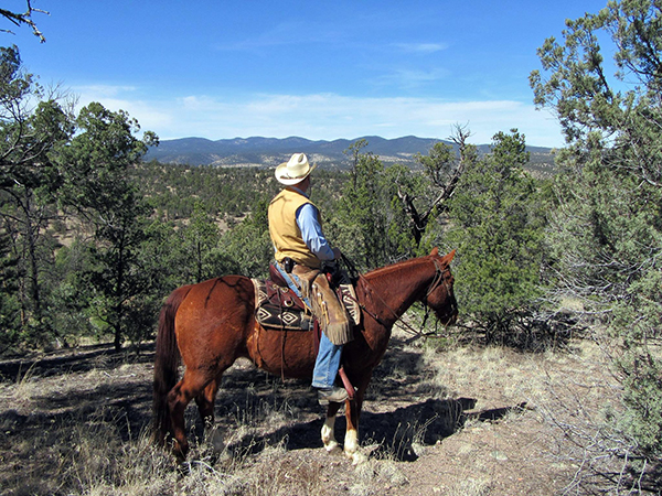 no crowds in the gila national forest while horse riding