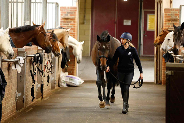 Gleneagles stables