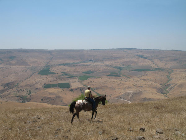 Golan Heights horse riding