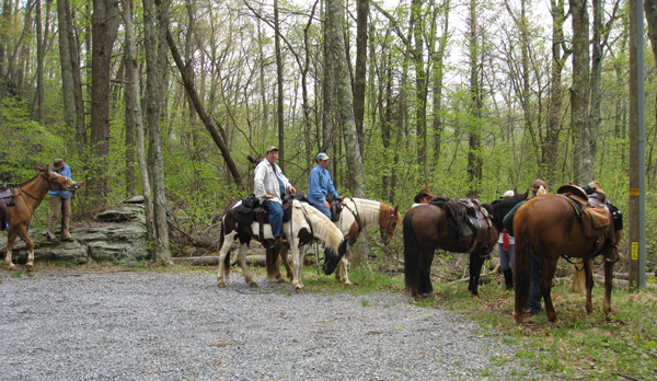 graves mountain horseback virginia