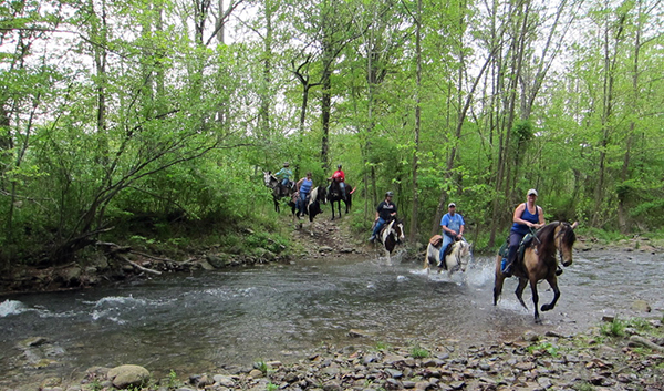 Graves Mountain Virginia Creek Horseback