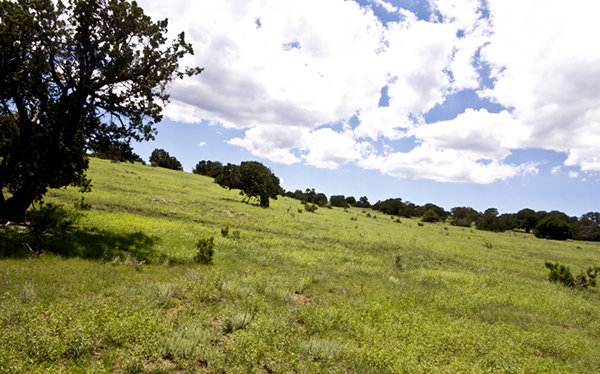 green hills nm