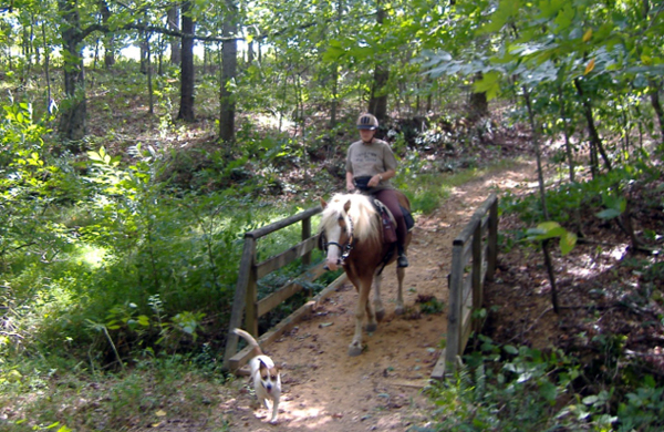 Green River Lake Park Kentucky horse trails