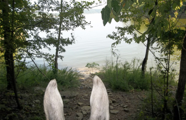 Green River horseback riding Kentucky