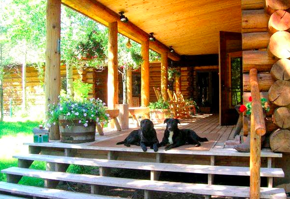 Gros Ventre River Ranch dogs