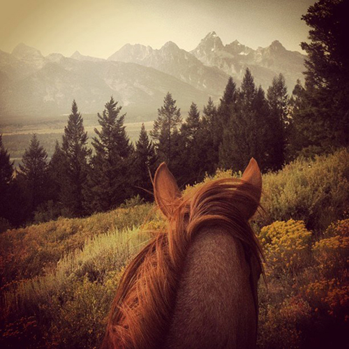 gros centre river ranch horseback