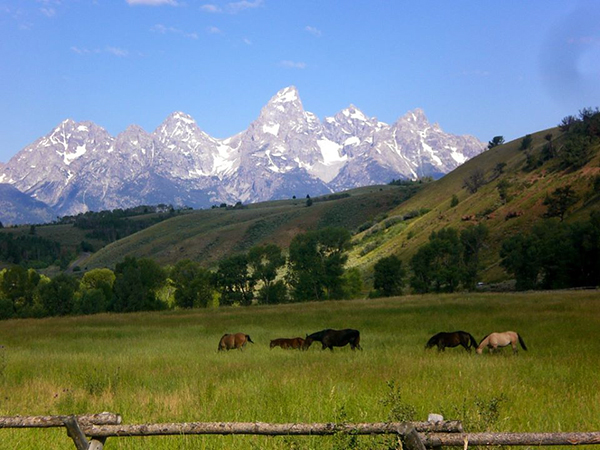 Gros Ventre River Ranch weather