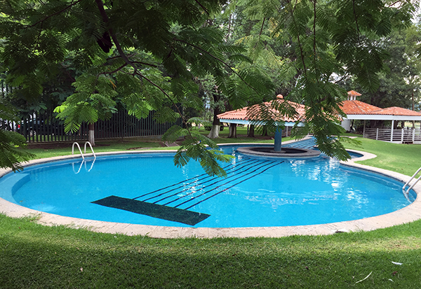 guitar shaped pool