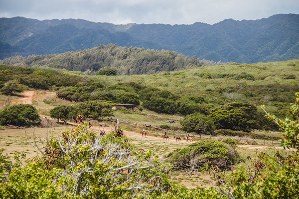 equestrians trail riding through oahu island hawaii at gunstock ranch