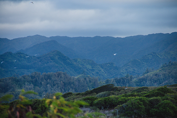 scenic view of oahu hawaii at gunstock ranch